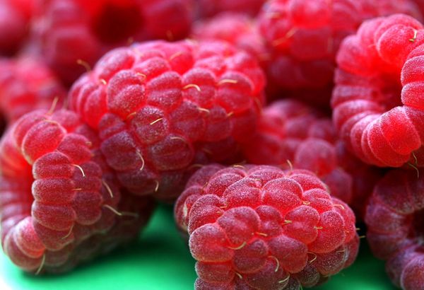 Fresh Raspberries from 포르투갈 supplied by GoodGreen - Fresh (=Chilled) 신선 라즈베리