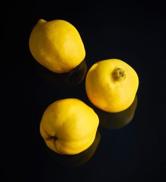 Fresh Lemon from 튀르키예 supplied by Capexo - Whole 신선 레몬
