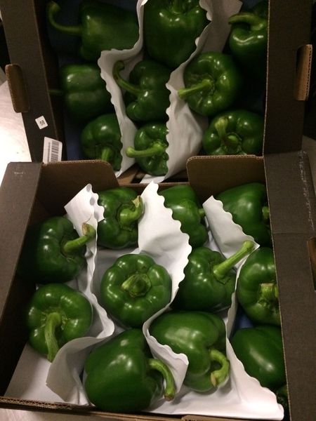 Fresh Bell Pepper from Germany supplied by Asia GmbH - Fresh (=Chilled) Fresh Bell Pepper