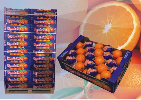 Fresh Whole Citrus from Greece supplied by KARAMBELAS, K., SA - Whole Citron