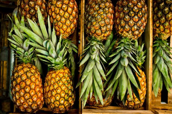 Md2 Pineapple from Ecuador supplied by TropiVeggieFruit S.A.S. - Washed & Packed in Cartons Fresh Pineapple