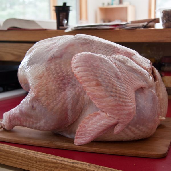 Fresh Turkey from Canada supplied by Shady Grove Maple Co. - Organic Turkey Meat
