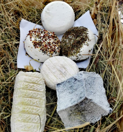Organic Goat Milk Cheese from 프랑스 supplied by LA FERME DES CABRIOLES - Whole 기타 치즈