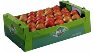 Apple from Belgium supplied by J Boussier - Foodtainer & Tray Fresh Apple