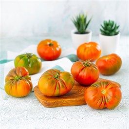 Tomato from 튀르키예 supplied by Yesil Limon - Carton Box (=Cardboard Box) 신선 토마토