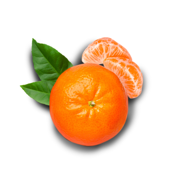 Fresh Mandarin from United Arab Emirates supplied by Al Bakrawe Group - Orange Fresh Mandarin