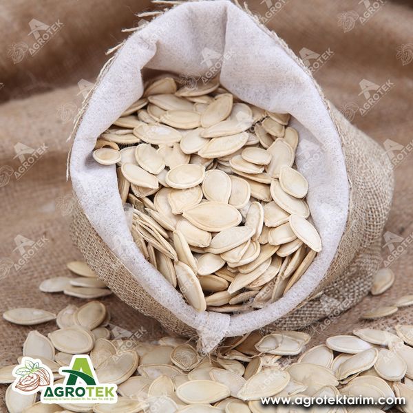 Pumpkin Seed from 튀르키예 supplied by Agrotek Agriculture - Dried 호박 씨