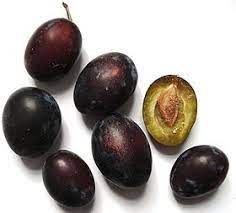 Prune from United States supplied by T Castro Produce - Fresh (=Chilled) Prune