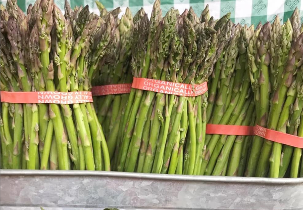Organic Asparagus from United States supplied by Jerrold A. Watson & Sons - Whole Fresh Asparagus