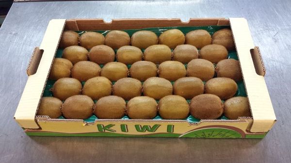 Fresh Kiwifruit from 그리스 supplied by Marantidis, N., & Co. Medifresh S.A. - Green Kiwi (=Zespri Green) 신선 키위
