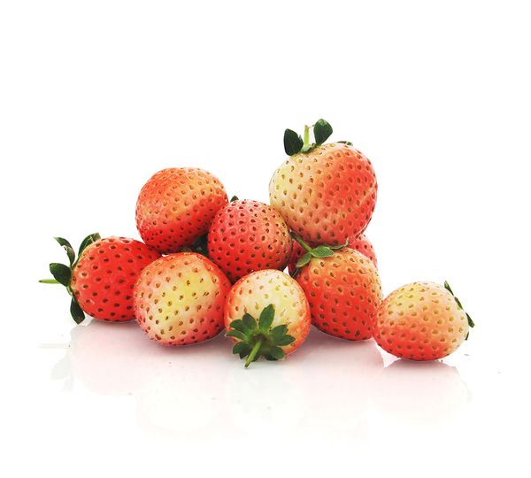 Strawberry from 이스라엘 supplied by Carmella - Red 신선 딸기