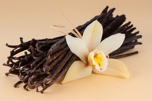 Vanilla from Madagascar supplied by PLANIFOLIA MADA - Dried Vanilla
