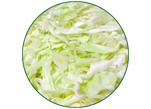 Fresh Cabbage from 스페인 supplied by Vega Alcarrena - Strip 신선 양배추