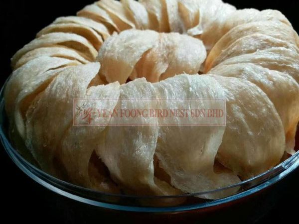 Bird Nest from Malaysia supplied by YEAN FOONG BIRD NEST SDN BHD - Best Grade Edible Nest