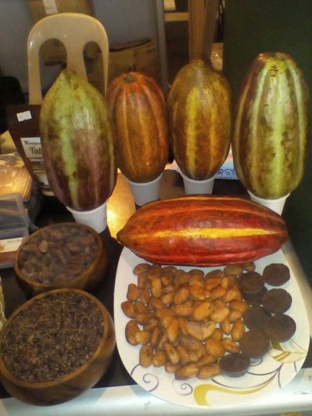 Cacao Beans from 필리핀 supplied by Comval Tropical Harvest Company, Inc. - Dried 코코아콩