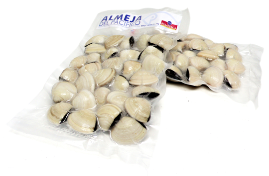 White Clam from 베트남 supplied by Pasapesca SA - Whole (=In Shell=Unshucked) 냉동 조개