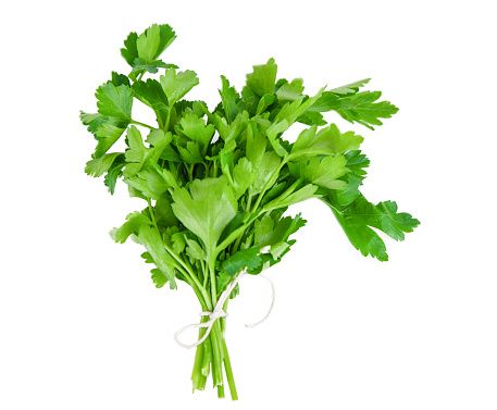 parsley from 이집트 supplied by Pharaohs Herbs - Green 파슬리