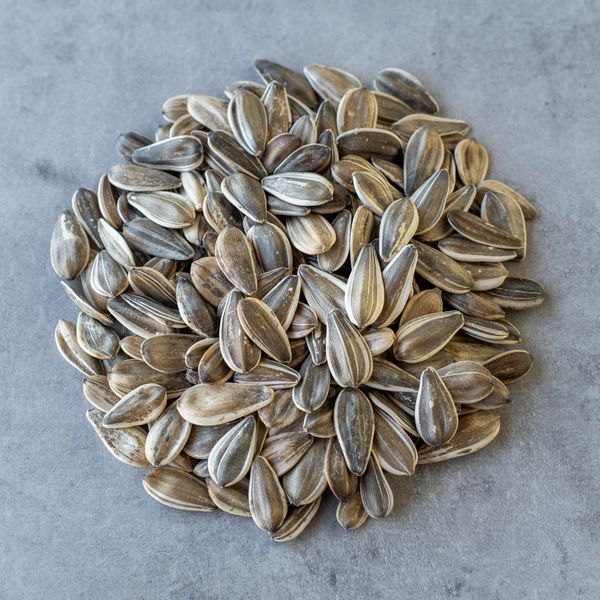 Jumbo Sunflower Seed Raw from 미국 supplied by California Gourmet Nuts - Raw (=Natural) 해바라기 씨