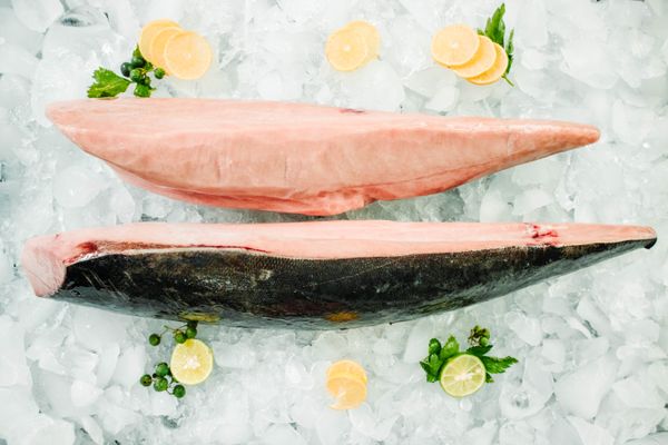 Tuna from Indonesia supplied by PT. Nusantara Alam Bahari - Boneless (=Without Bone=Deboned) Tuna