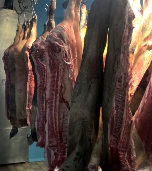 Fresh Pork from 아일랜드 supplied by Woodside Farm - 머리 없음(=헤드리스) 신선 돼지고기 햄 및 목살