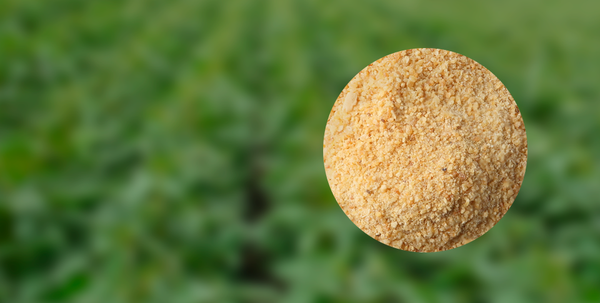 Fermented Non-GMO soyabean meal from 우크라이나 supplied by European protein Ukraine - Meal 대두박