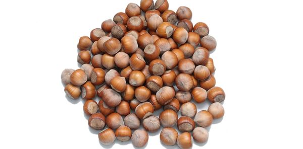Shelled hazelnut from 아제르바이잔 supplied by Khan-El LLC - Peeled 헤이즐넛 알맹이