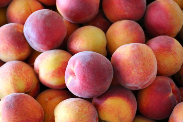 Fresh Peach from Spain supplied by Frutas Fernandez - Pavia Fresh Peach