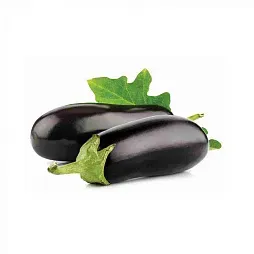 Eggplant from 러시아 supplied by LLC Slavyanskie Polya - Purple (=Violet) 가지