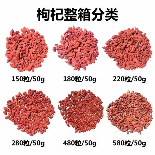 goji berry | wolfberry from 중국 supplied by gojibuy - Crimson Star (=Ningxia #1) 말린 구기자