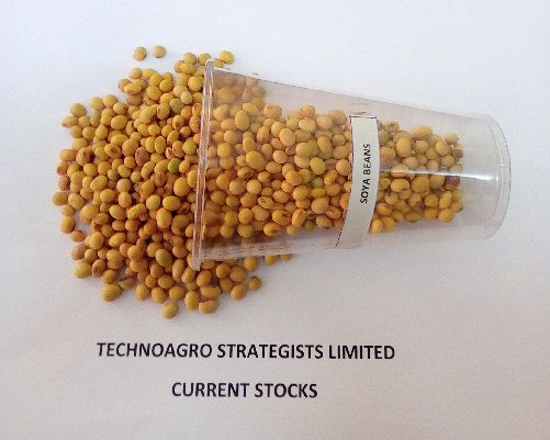 Soybean from 탄자니아 supplied by TechnoAgro Strategists Limited. - Dried (=Dehydrated) 대두
