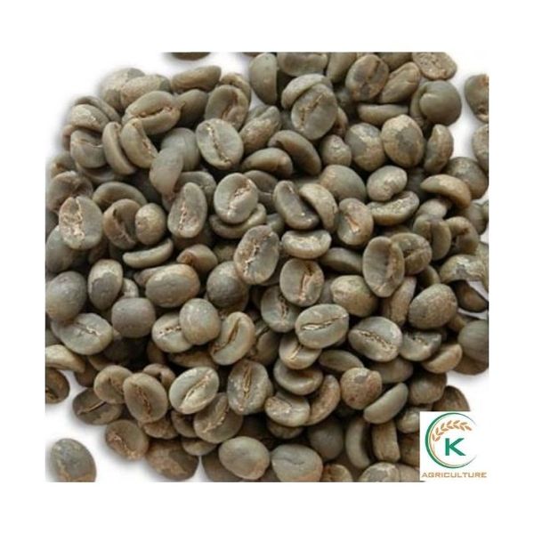 Vietnam Washed Robusta Green Coffee Beans G1, S18 from 베트남 supplied by K Agriculture - S16 (=Screen 16) 생원두