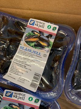 Fresh Mussel In MAP from Norway supplied by NORGESKJELL AS - Fresh (=Chilled=Raw) Fresh Mussel