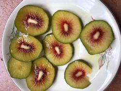 Kiwi from 남아프리카공화국 supplied by Top Fruit (Pty) Ltd - 신선 키위