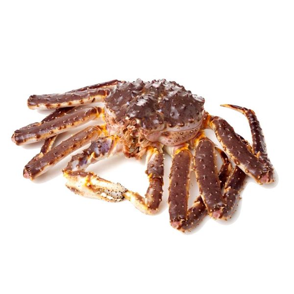 Frozen Red King Crab from 노르웨이 supplied by Arctic Resource Norge AS - 킹크랩 - 레드 킹크랩 냉동 게