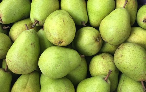 fresh pears from 폴란드 supplied by FRESH FRUIT SERVICES M&M Hermanowicz, A.Ryckaert Sp.J. - Yellow 신선 배