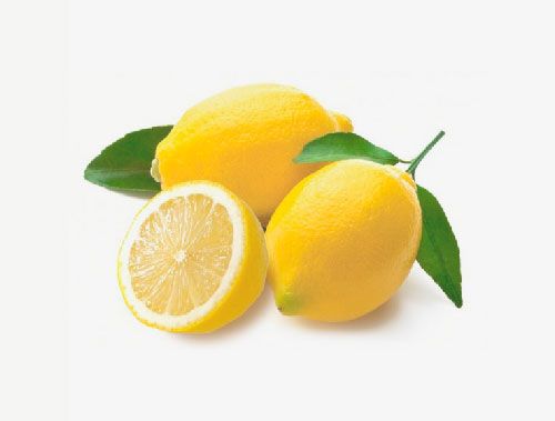 Lemon from 스페인 supplied by Francisco Oliva SL - Yellow 신선 레몬