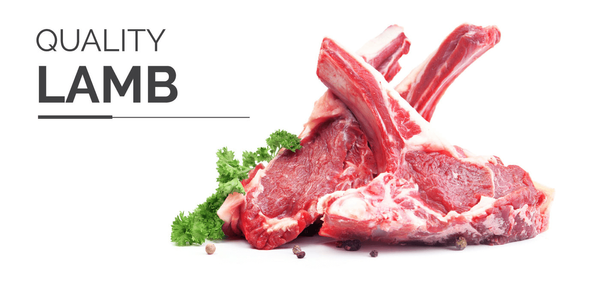 Lamb from 남아프리카공화국 supplied by Excellent Meat International - Cut 양고기