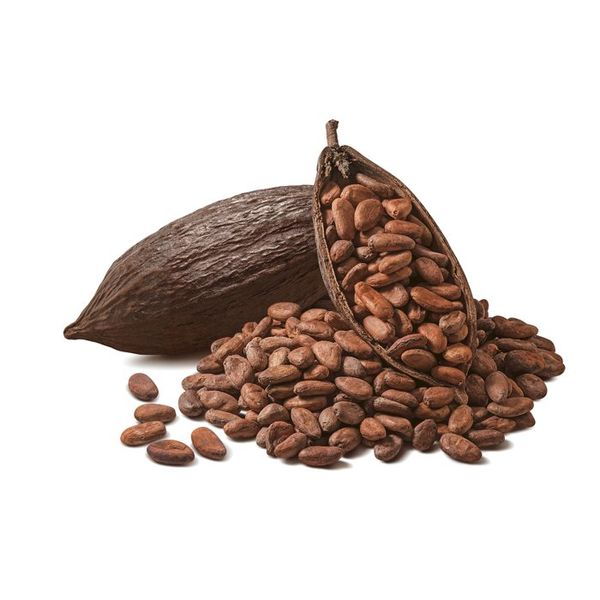 Organic Cocoa Bean from Democratic Republic of the Congo supplied by SOPROCOPIV - Dried Cocoa Bean