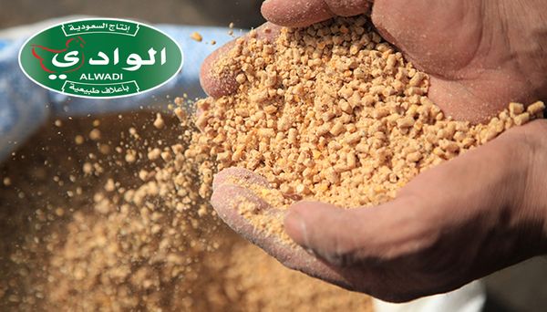 Poultry Feed from Saudi Arabia supplied by Alwadi Poultry Farms Ltd, Co. - Light Brown Other Poultry By Product Meal (PBM)