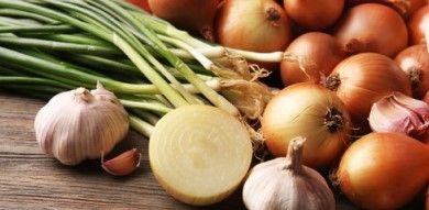 Onion from 독일 supplied by ELELE GMBH - Whole 신선 양파