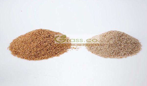 Sesame Seed from 이집트 supplied by Grass Co. Herbs and Spices - Unhulled 참깨