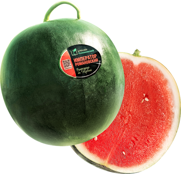 Watermelon from 러시아 supplied by LLC Agrosoyuz Romanovsky - Striped 신선 수박
