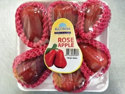 Rose Apple from Thailand supplied by Blue River co.,Ltd. - Foodtainer & Tray Rose Apple