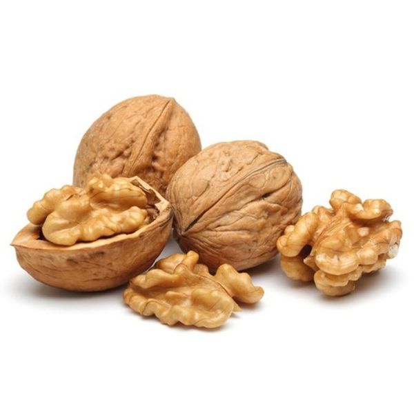 WALNUT IN SHELL from 튀르키예 supplied by NK Global Group - >30mm (=30mm보다 큼) 생호두