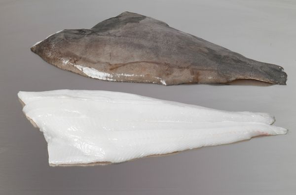 Greenland halibut from 노르웨이 supplied by Polar Quality - Greenland Halibut (=Reinhardtius hippoglossoides =Greenland Turbot =Black Halibut =Blue Halibut =Lesser Halibut) 냉동 준치