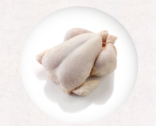 Chicken meat from 벨기에 supplied by Artislach - Leg 냉동 미절단 닭고기