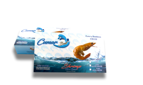 Frozen Shrimp from 온두라스 supplied by Grupo Litoral - HLSO (Headless Shell On) 냉동 새우