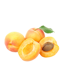 Apricot from 그리스 supplied by SULCE LEDION - Orange 신선 살구