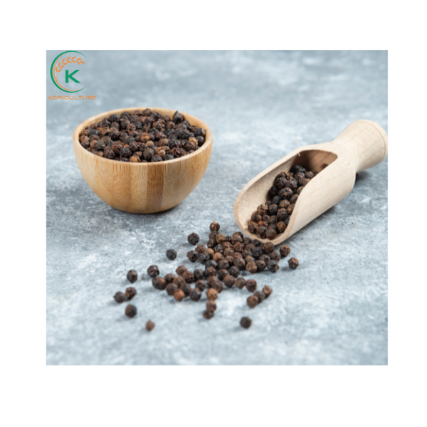 Supply Best Black Pepper 570GL Vietnam Wholesale from Vietnam supplied by K Agriculture - Pepper Mixed Spices Products