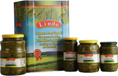 Grape Leaves in Brine from 튀르키예 supplied by Hemsi Ltd. - Green (=Unripe=Sour) 신선 포도